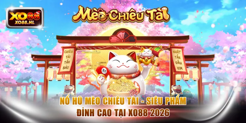 Mèo Chiêu Tài