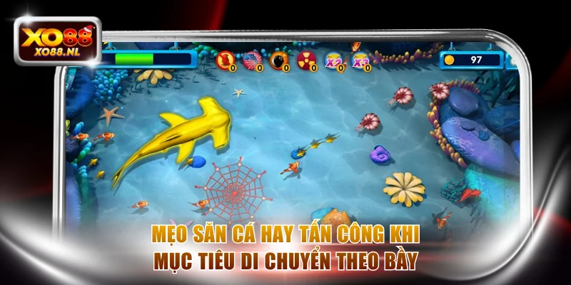 Mẹo săn cá hay tấn công khi mục tiêu di chuyển theo bầy